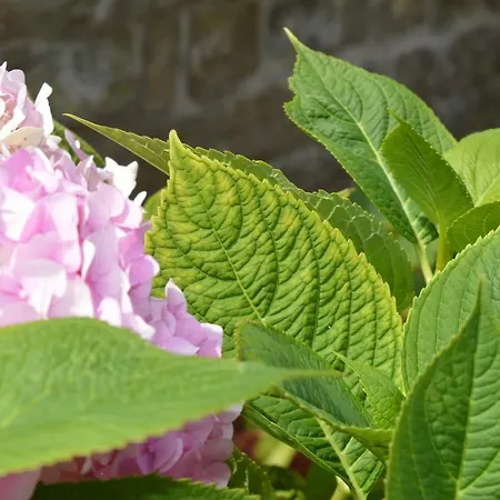 Hotel La Heid Des Pairs